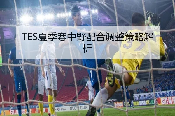 TES夏季赛中野配合调整策略解析